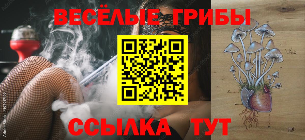 Галлюциногенные грибы Psilocybe  Вход с VPN  Заринск 