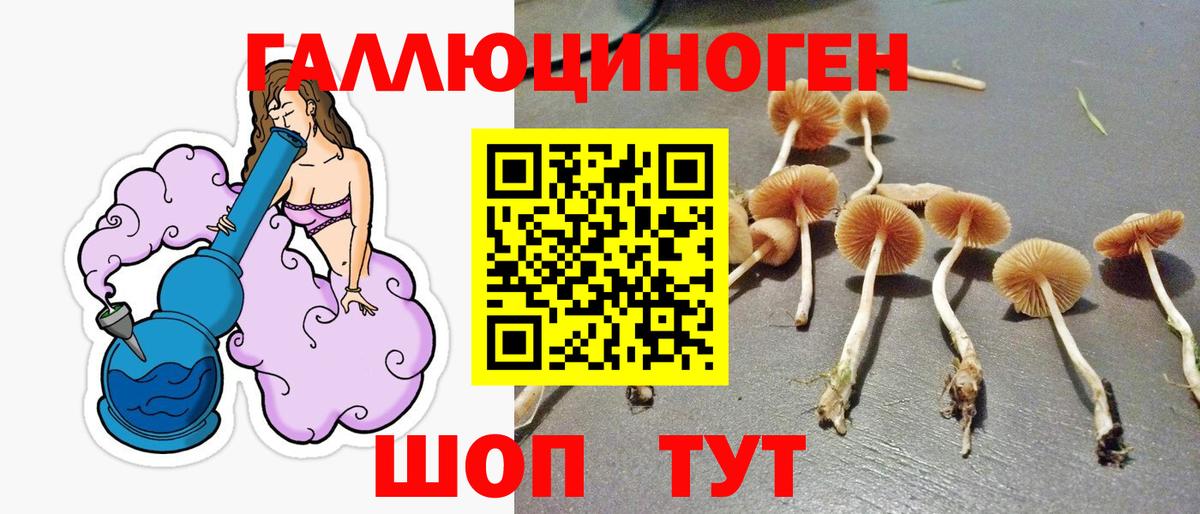 Бошки Шишки Заринск