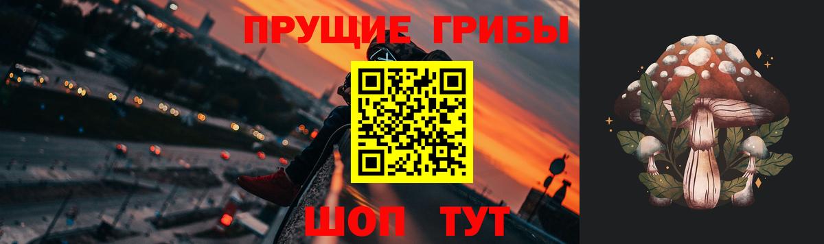 Псилоцибиновые грибы Psilocybe Заринск